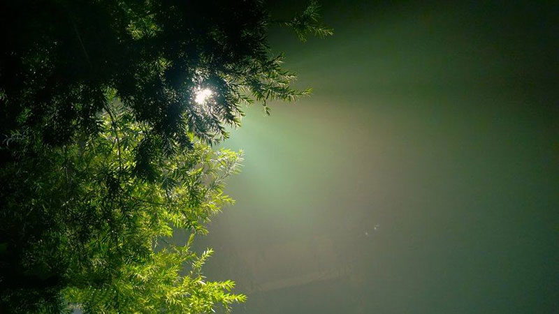 北美極端高溫天氣是因為“熱穹頂”？